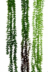 029 Veštaćke lozice   